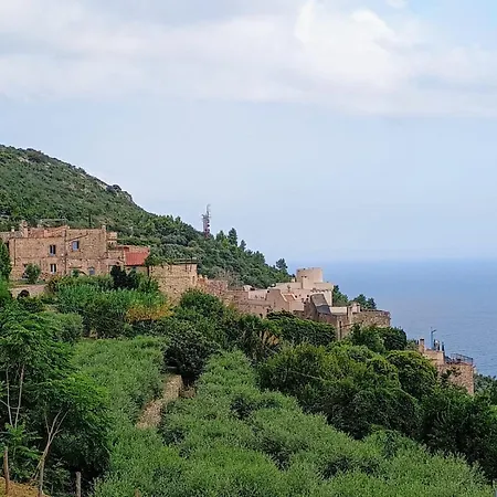 Velia - Live Active - Rest Easy - A-bove Apartment Borgio Verezzi